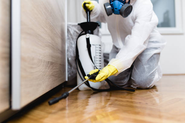 Flea Control Services in Lake Magdalene, FL