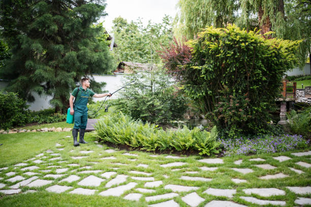 Best Mosquito Control Services  in Lake Magdalene, FL