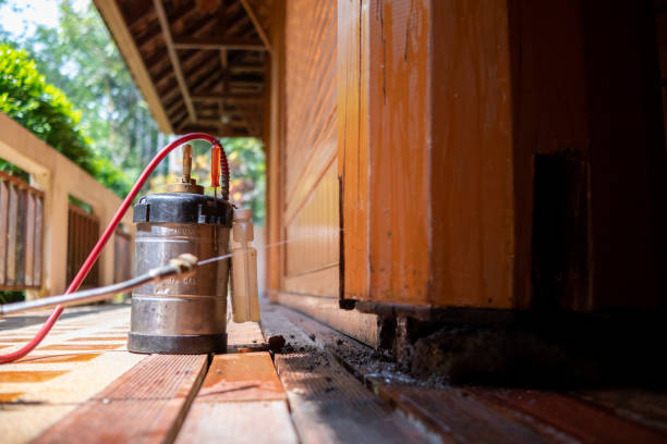Wasp Removal Services in Lake Magdalene, FL