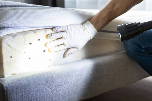 Best Pest Prevention Services  in Lake Magdalene, FL